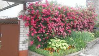 Гостиница Guest House on Podgornaya Кисловодск Трехместный номер с собственной ванной комнатой-5