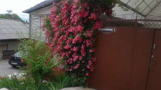 Гостиница Guest House on Podgornaya Кисловодск Двухместный номер с 2 отдельными кроватями и ванной комнатой-4